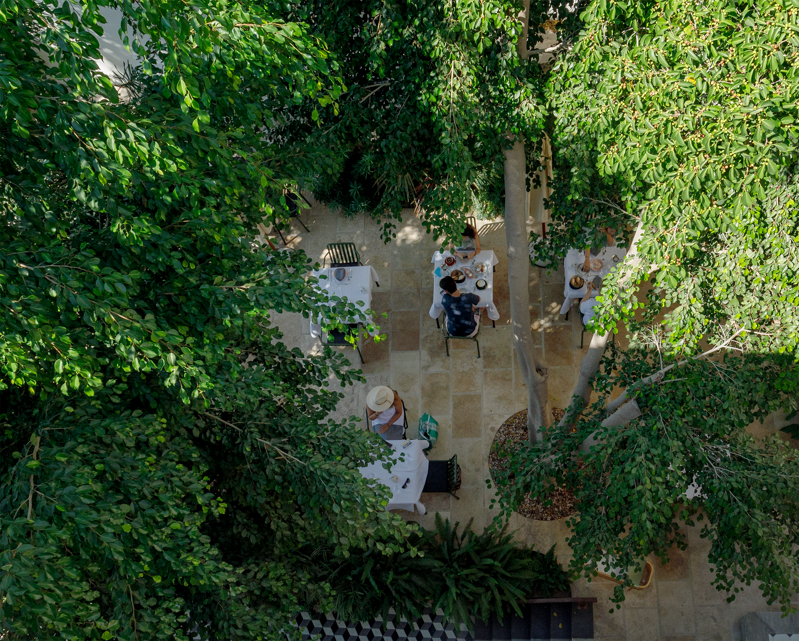 The Breakfast Garden