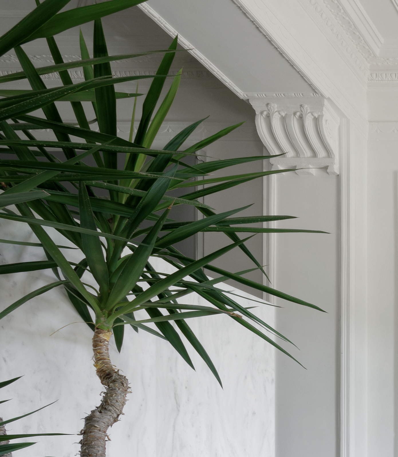 Dionyssos Suite - Room Details