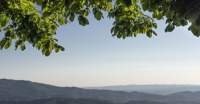 Badia landscape