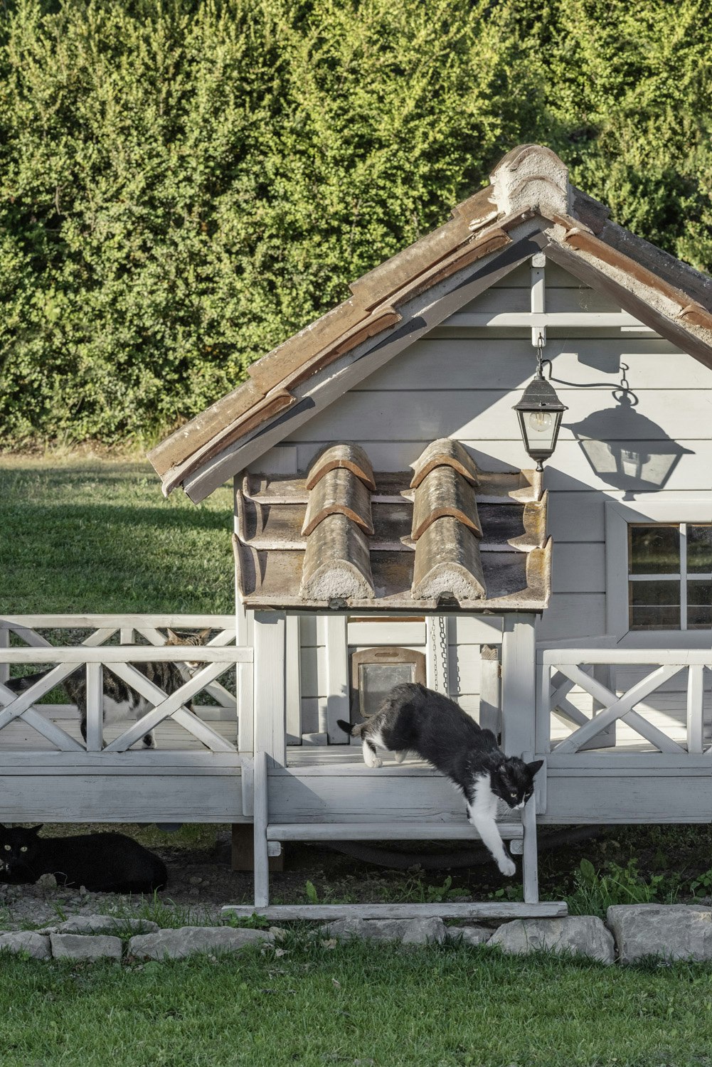 Pomaio House Exteriors LR