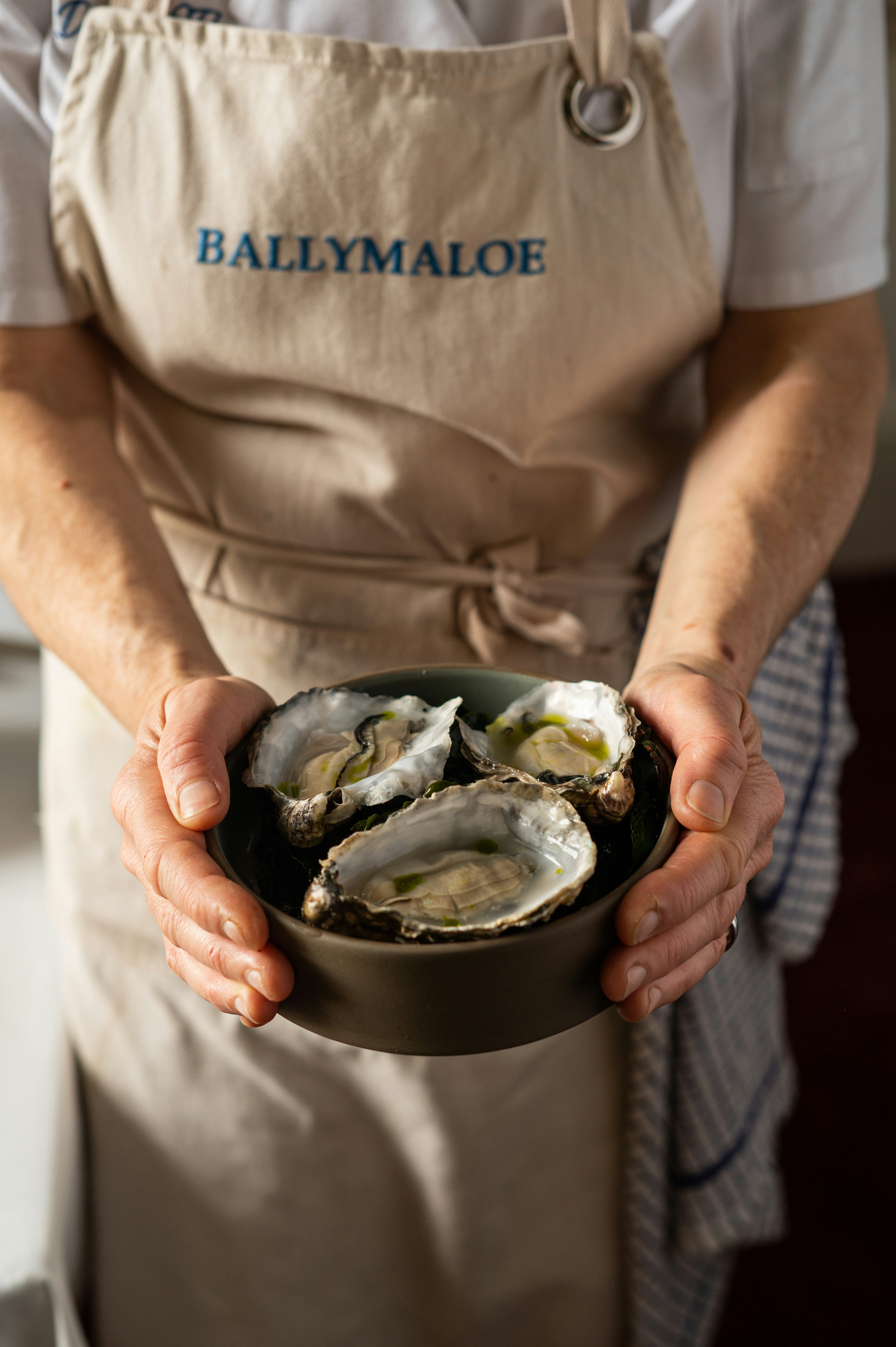 Ballymaloe Dining - Oysters