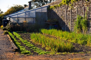 Autumn Greenhouse Garden