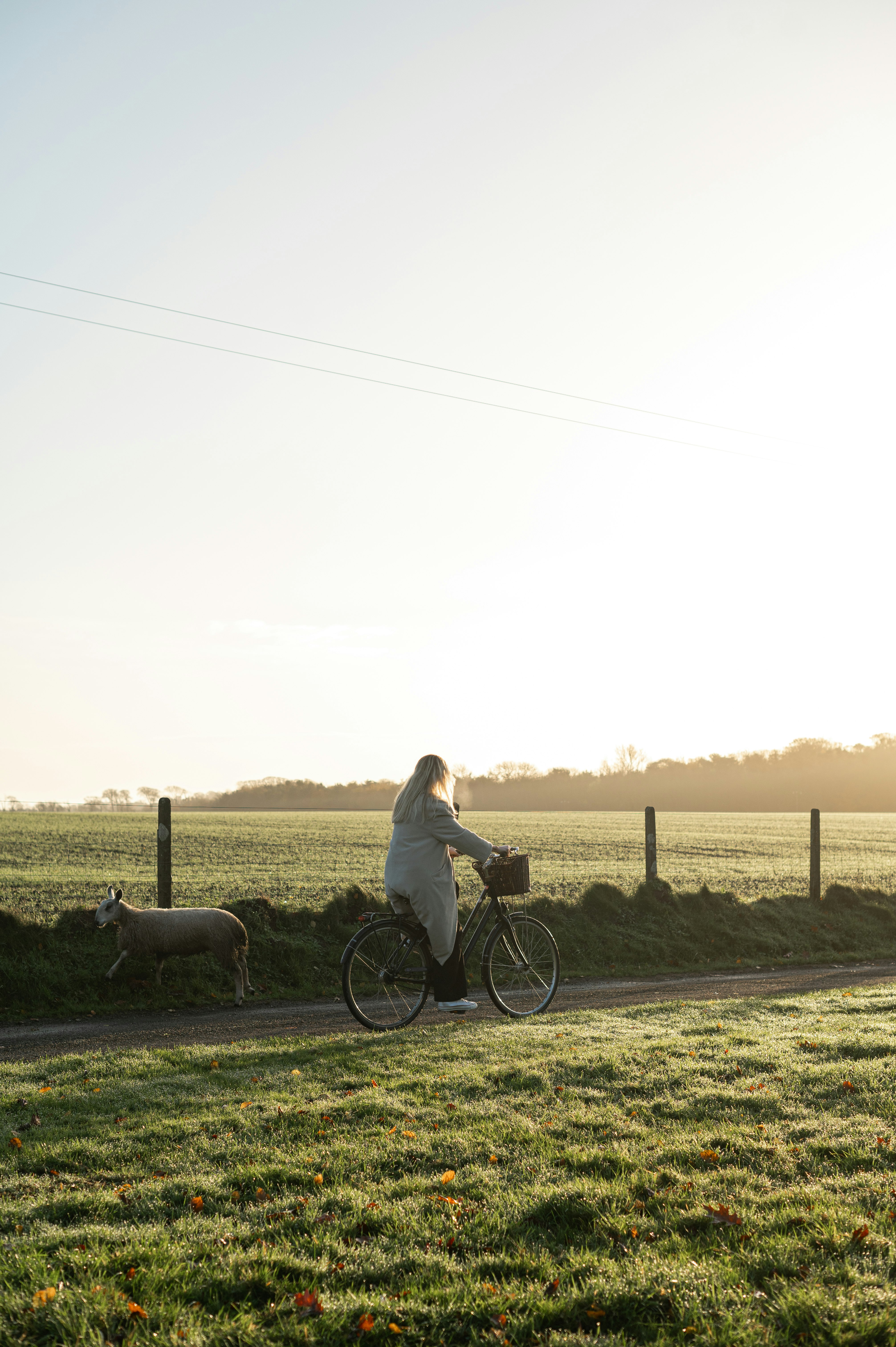 Ballymaloe Bicycling