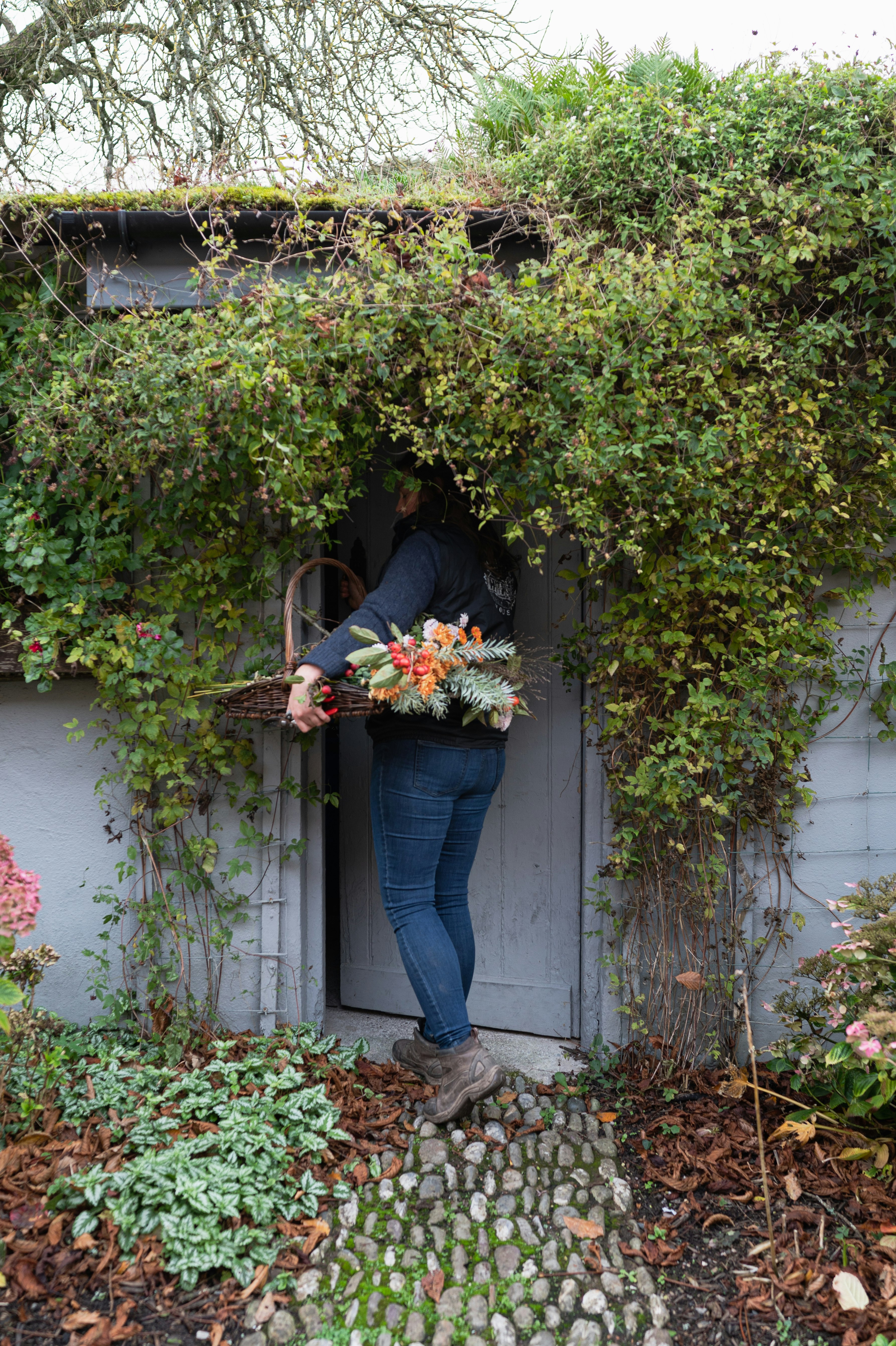 Freshly Gathered Flowers