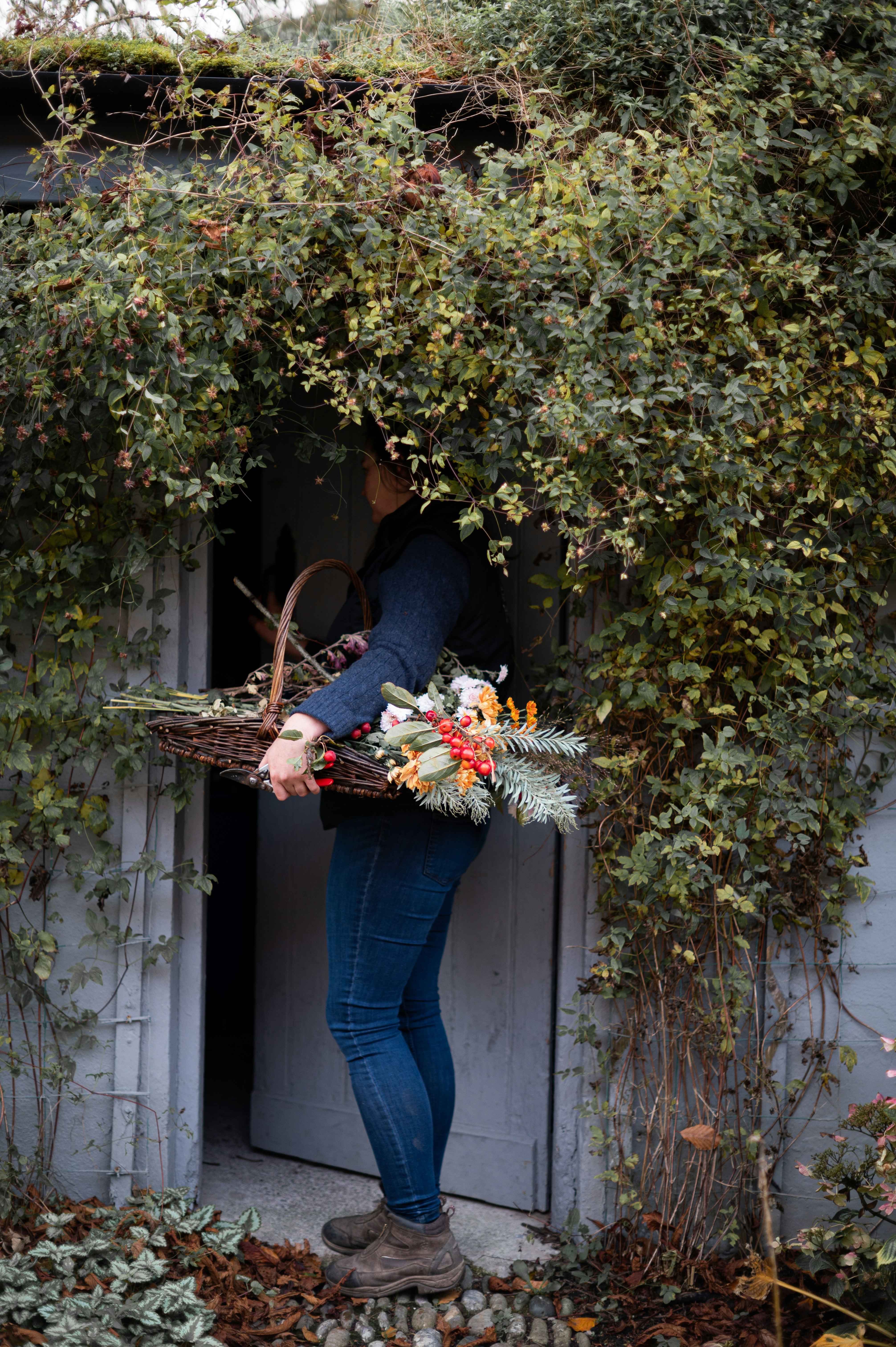 Freshly Gathered Flowers