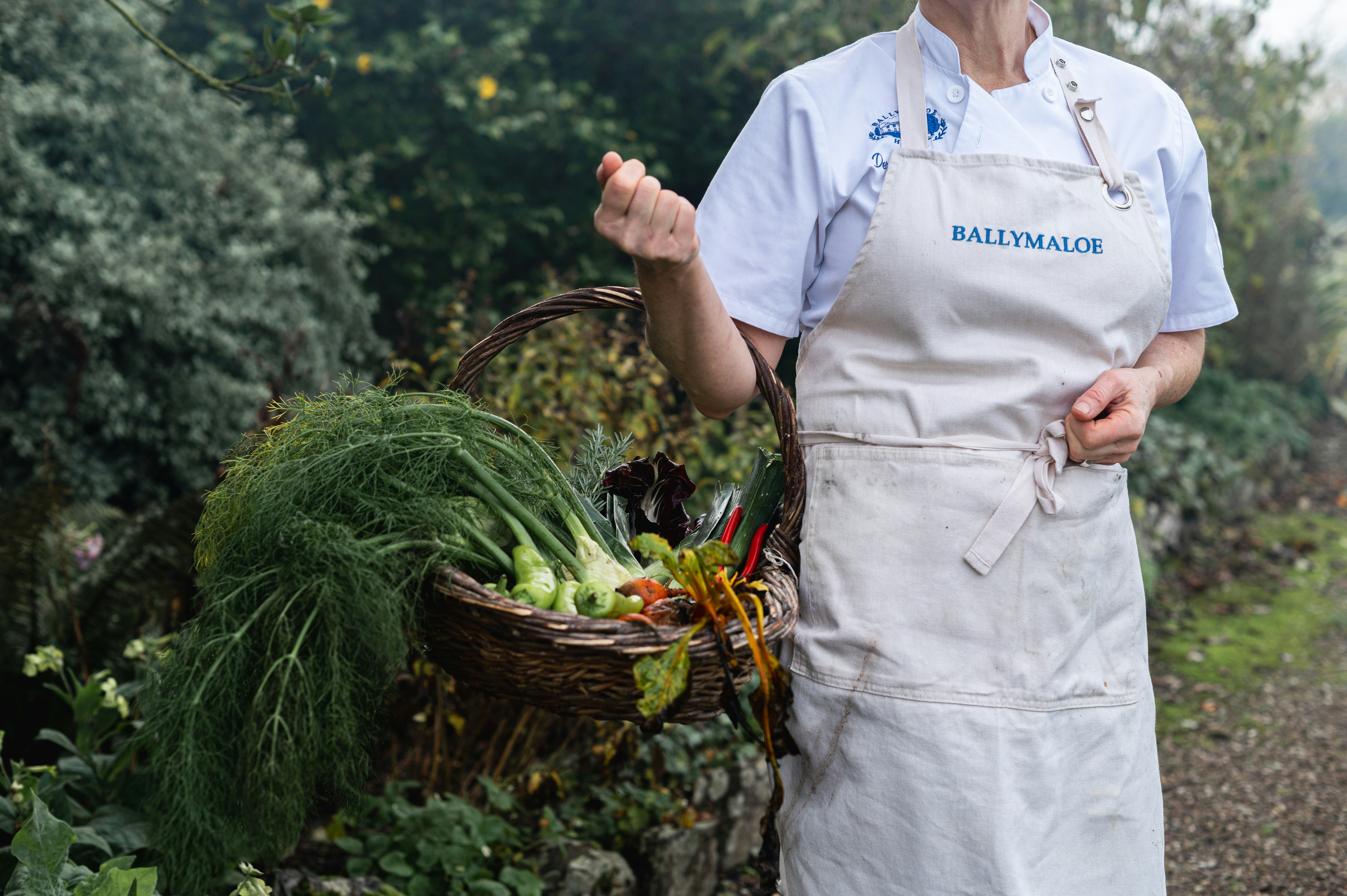 Fresh Winter Produce