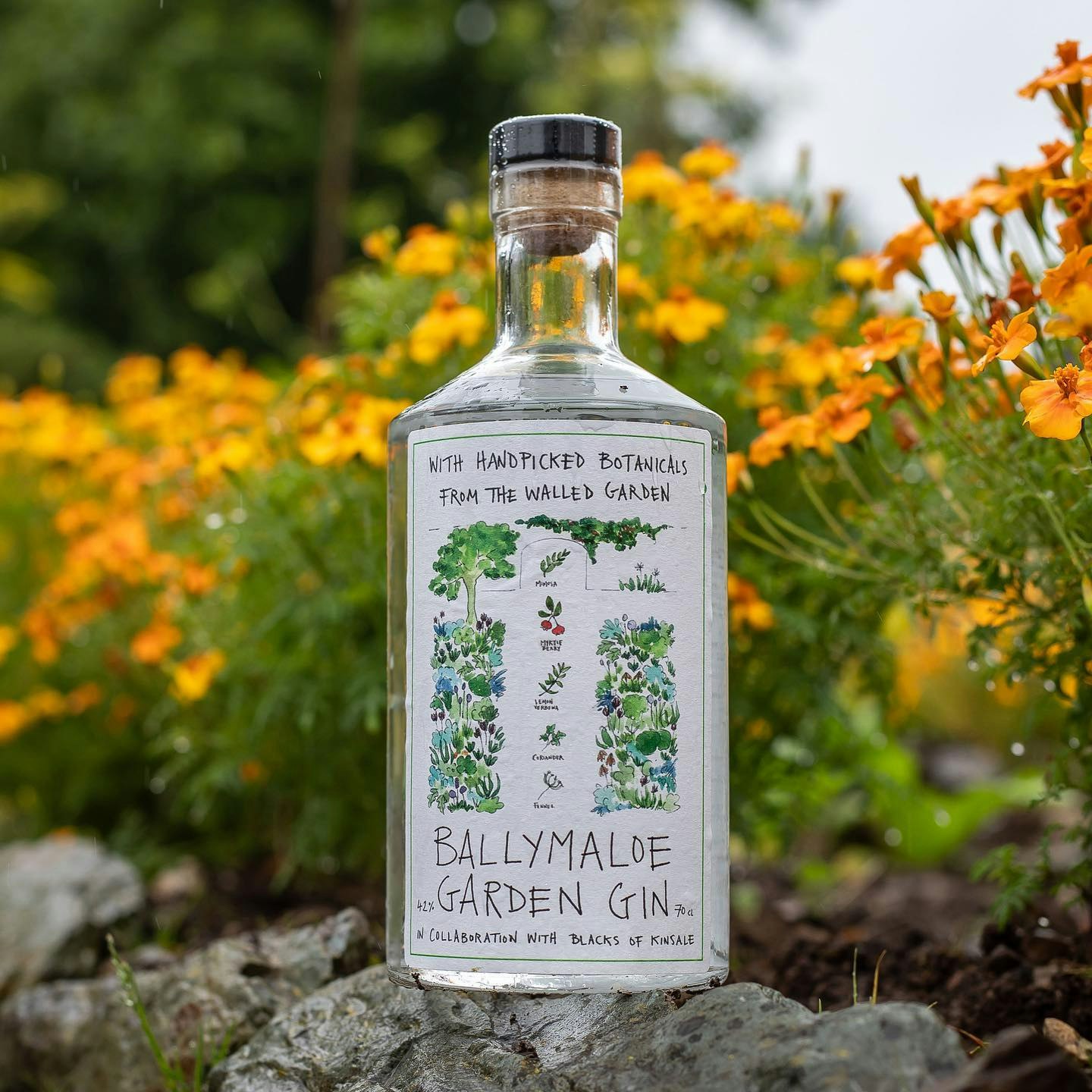 Ballymaloe Gin Bottle