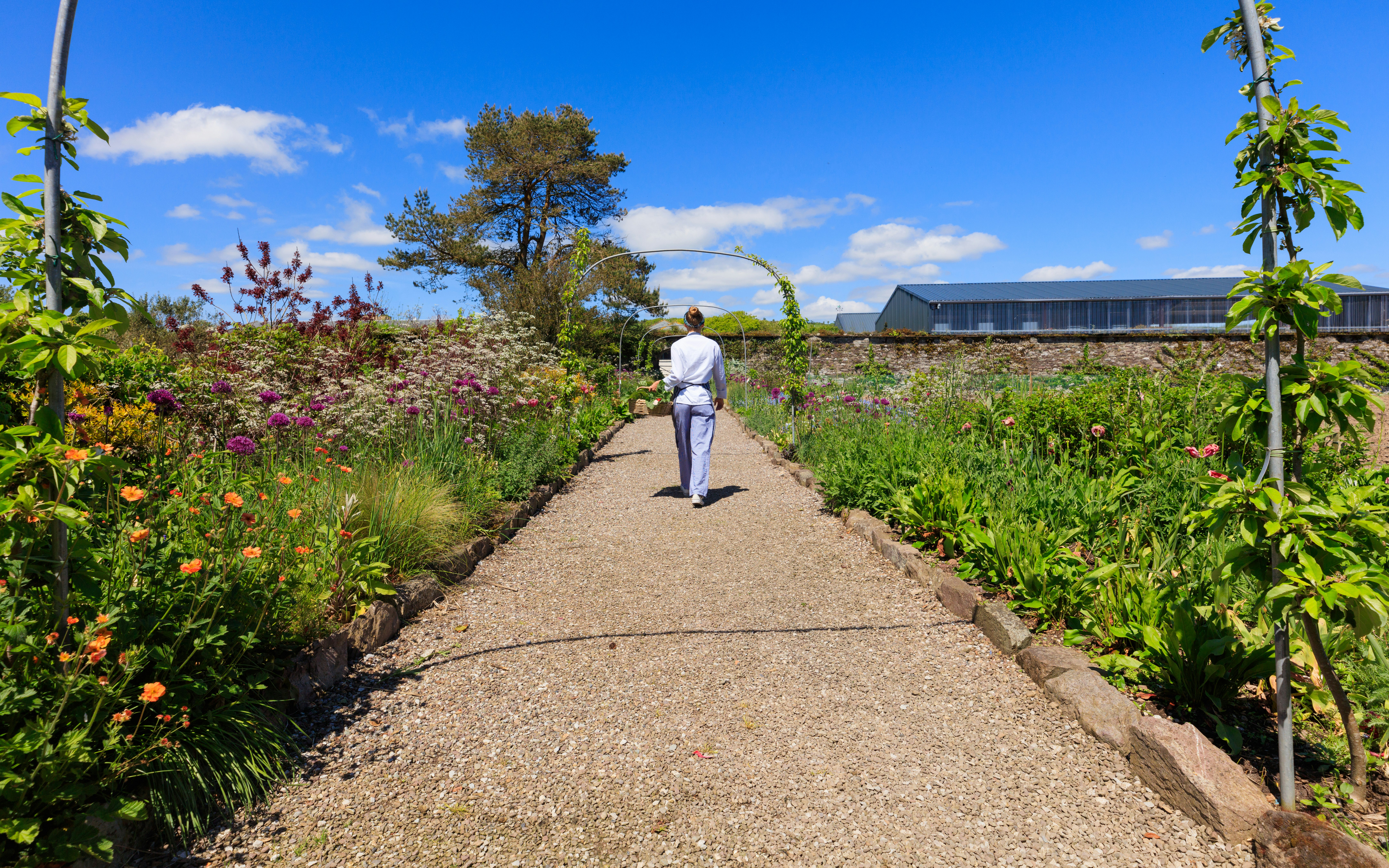 Chef in Walled Garden