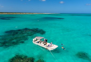 Exploring Barbuda's Reef