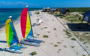 Hobie Cats