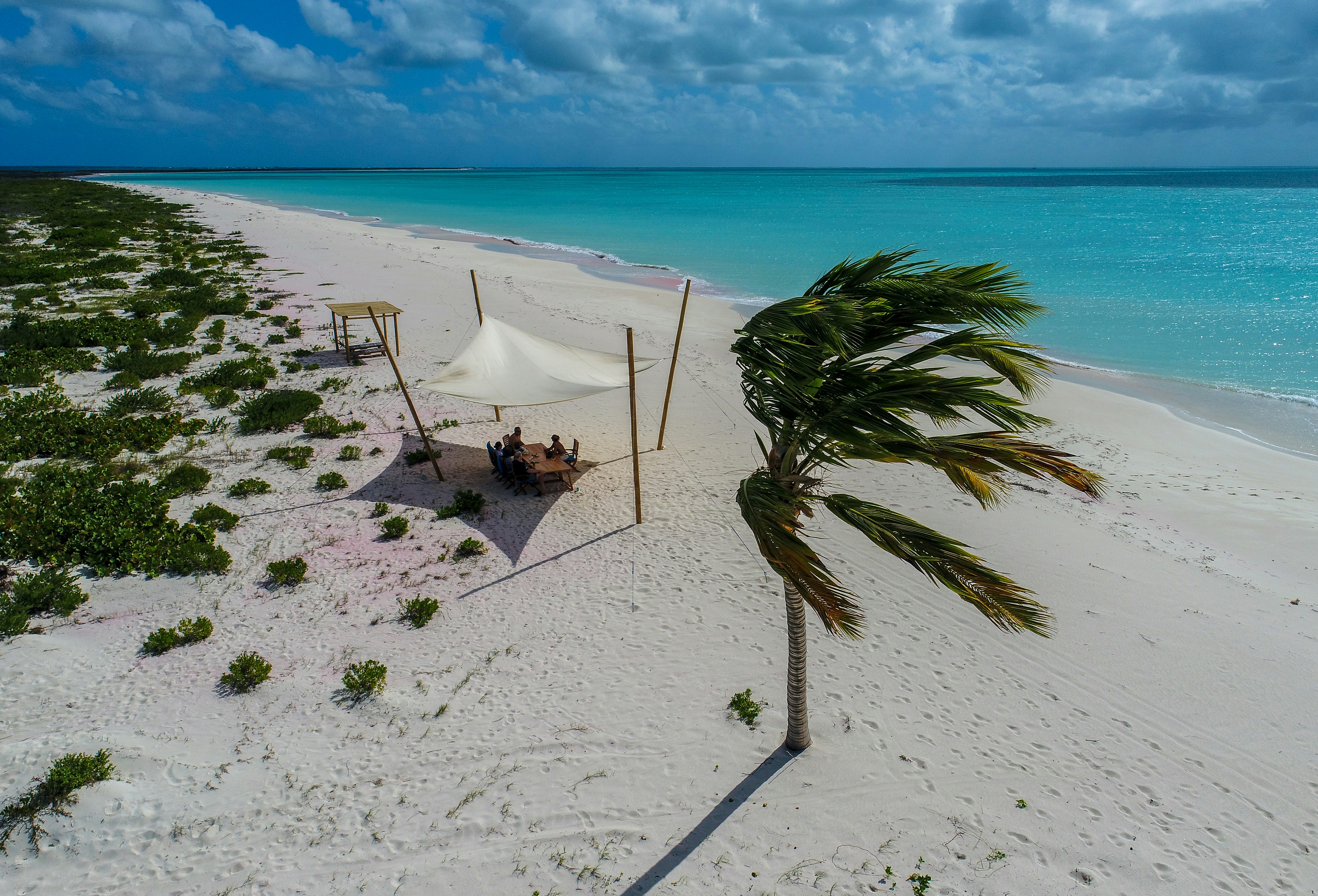 The Jelly Tree Bar & Grill