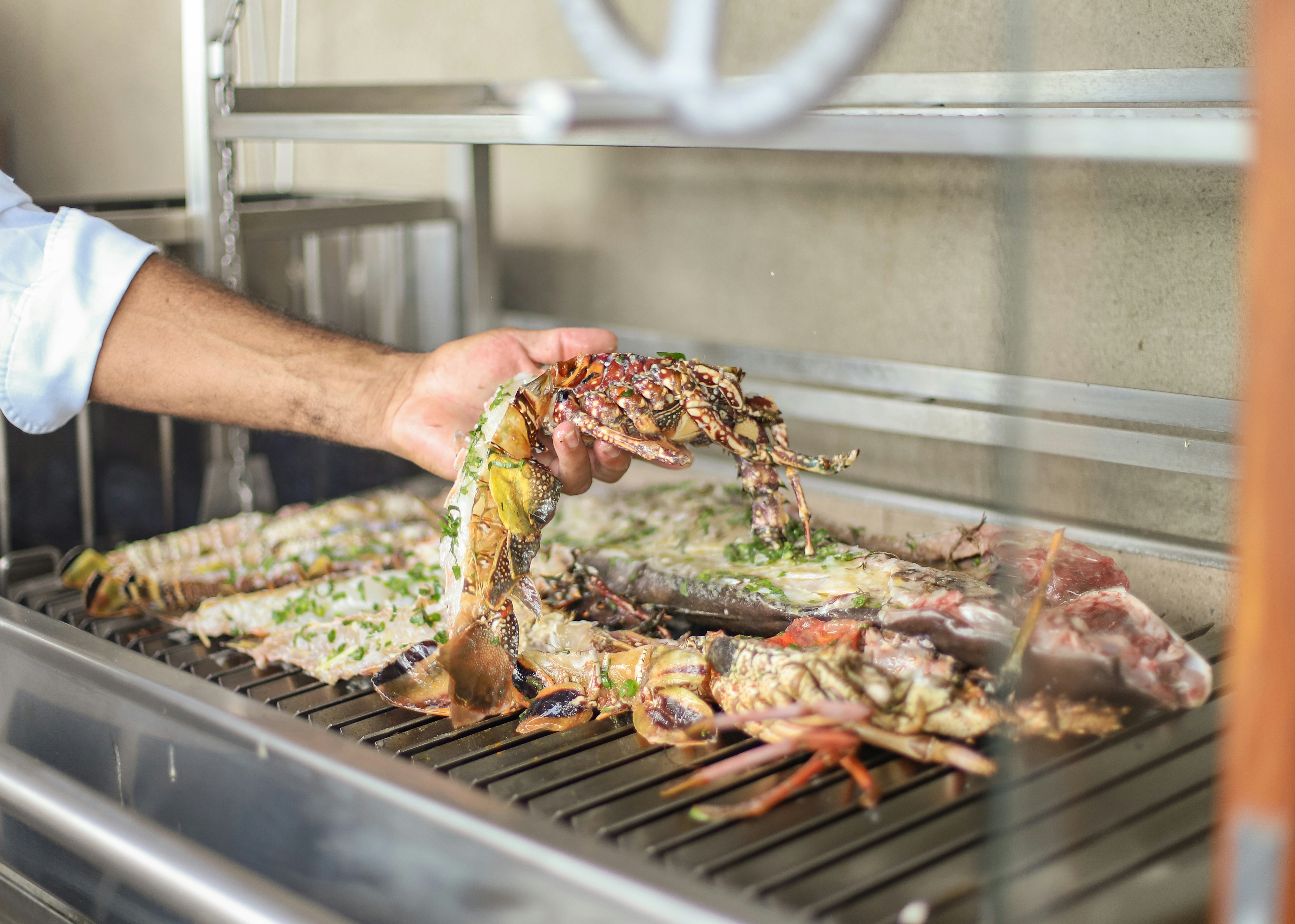 The Barracuda Cuisine - Sea to Table