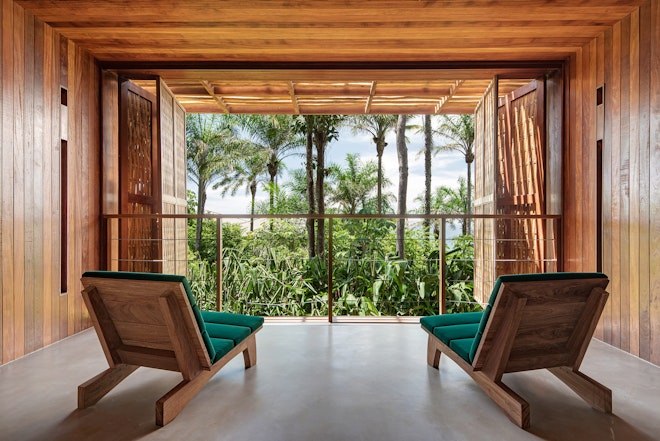 The Forest Suite