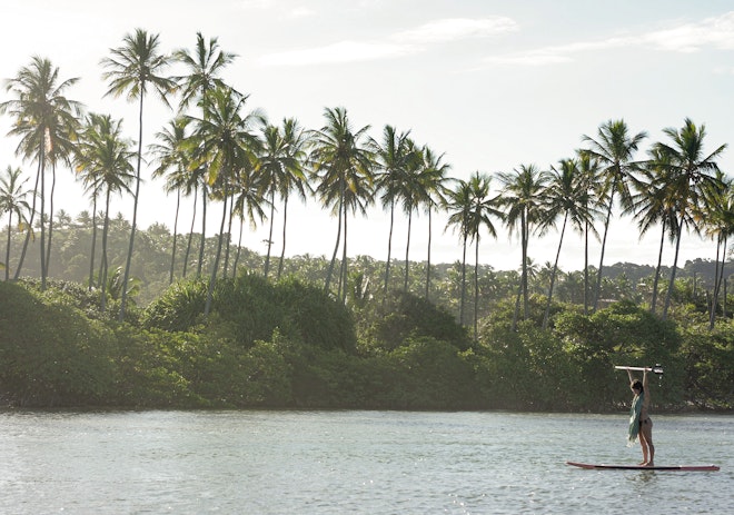 The Barracuda Journeys - Tijuipe's River