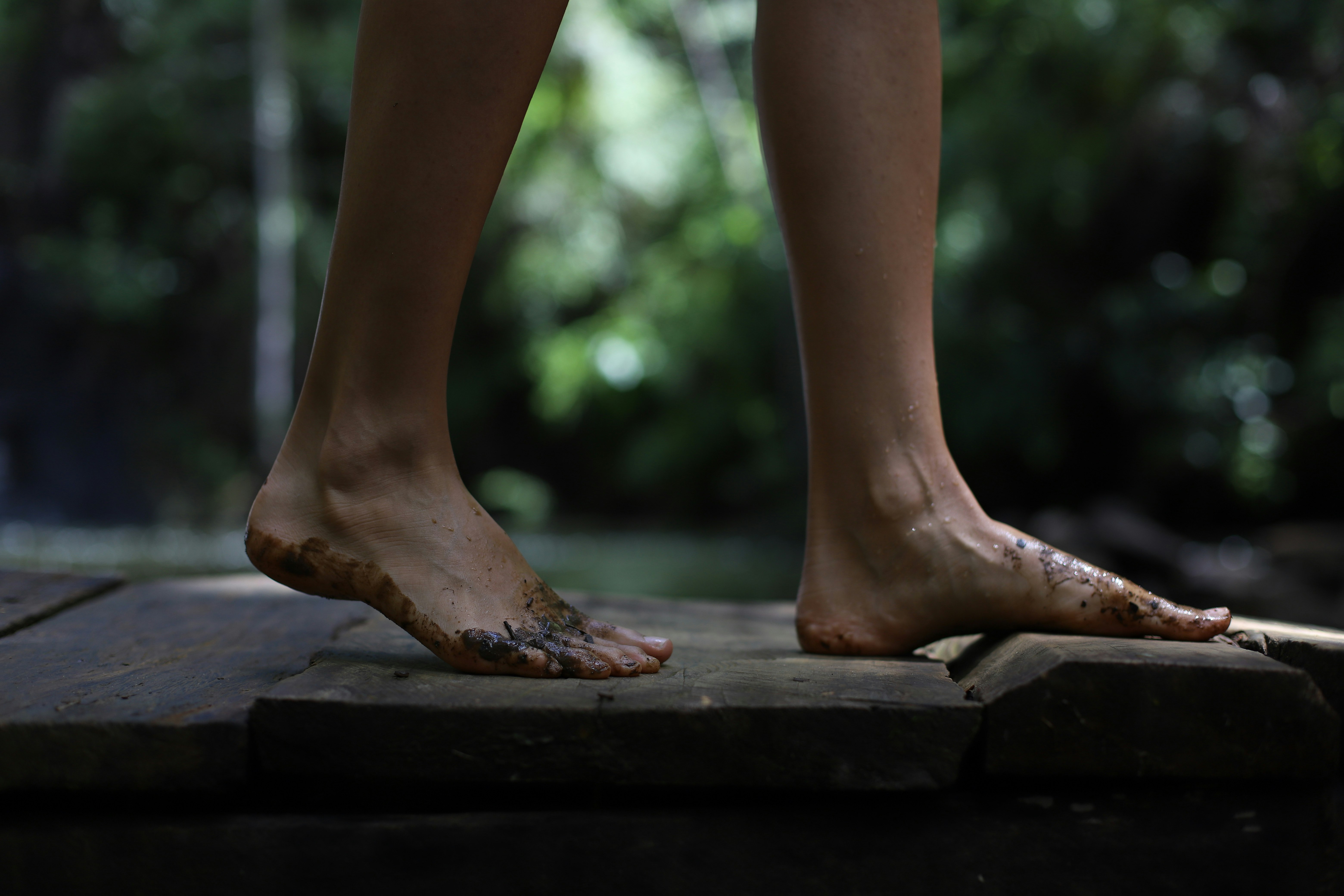 The Barracuda Journeys