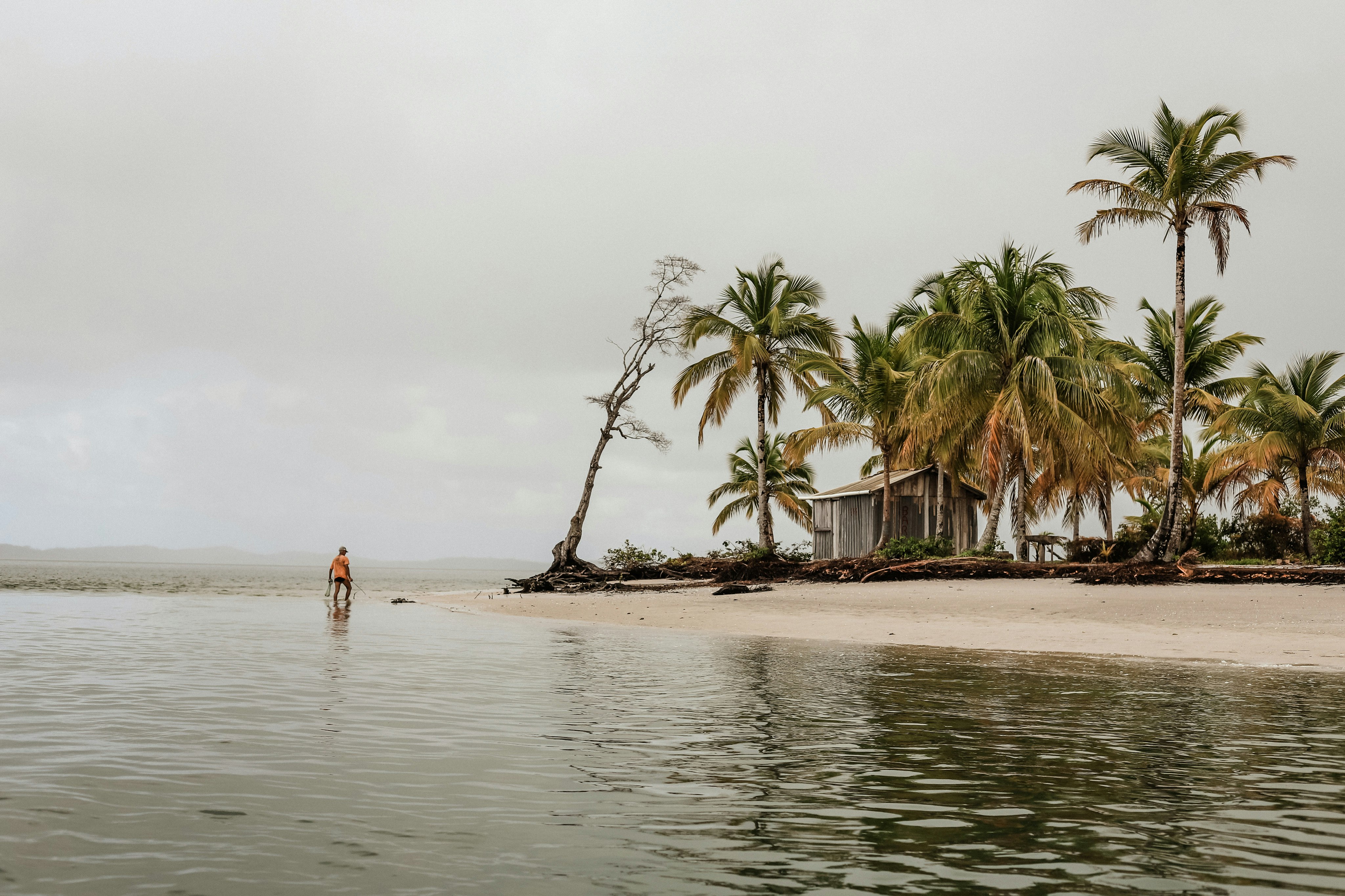 The Barracuda Journeys - Around Itacaré