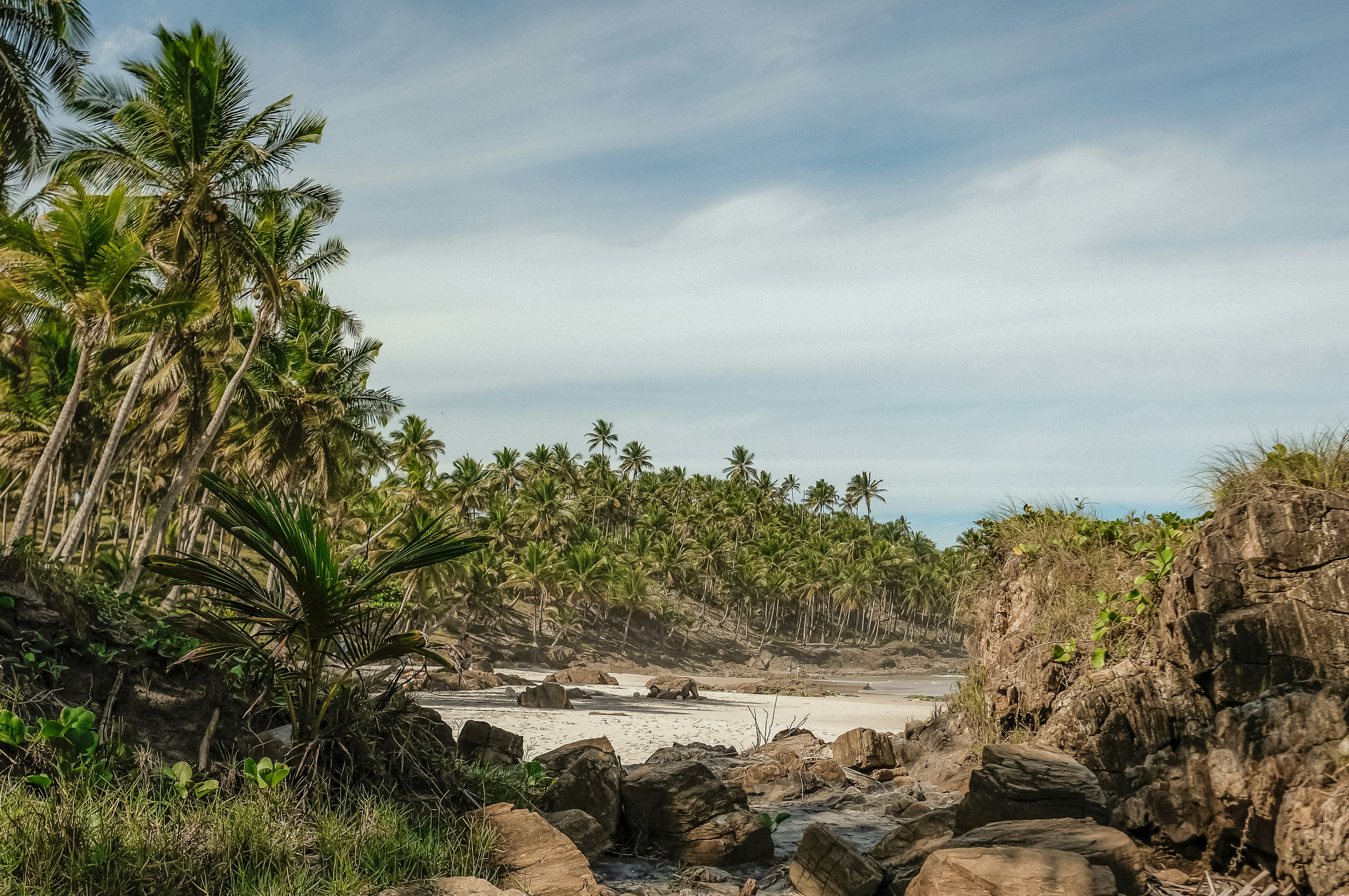 The Barracuda Journeys - Jeribucaçu Beach