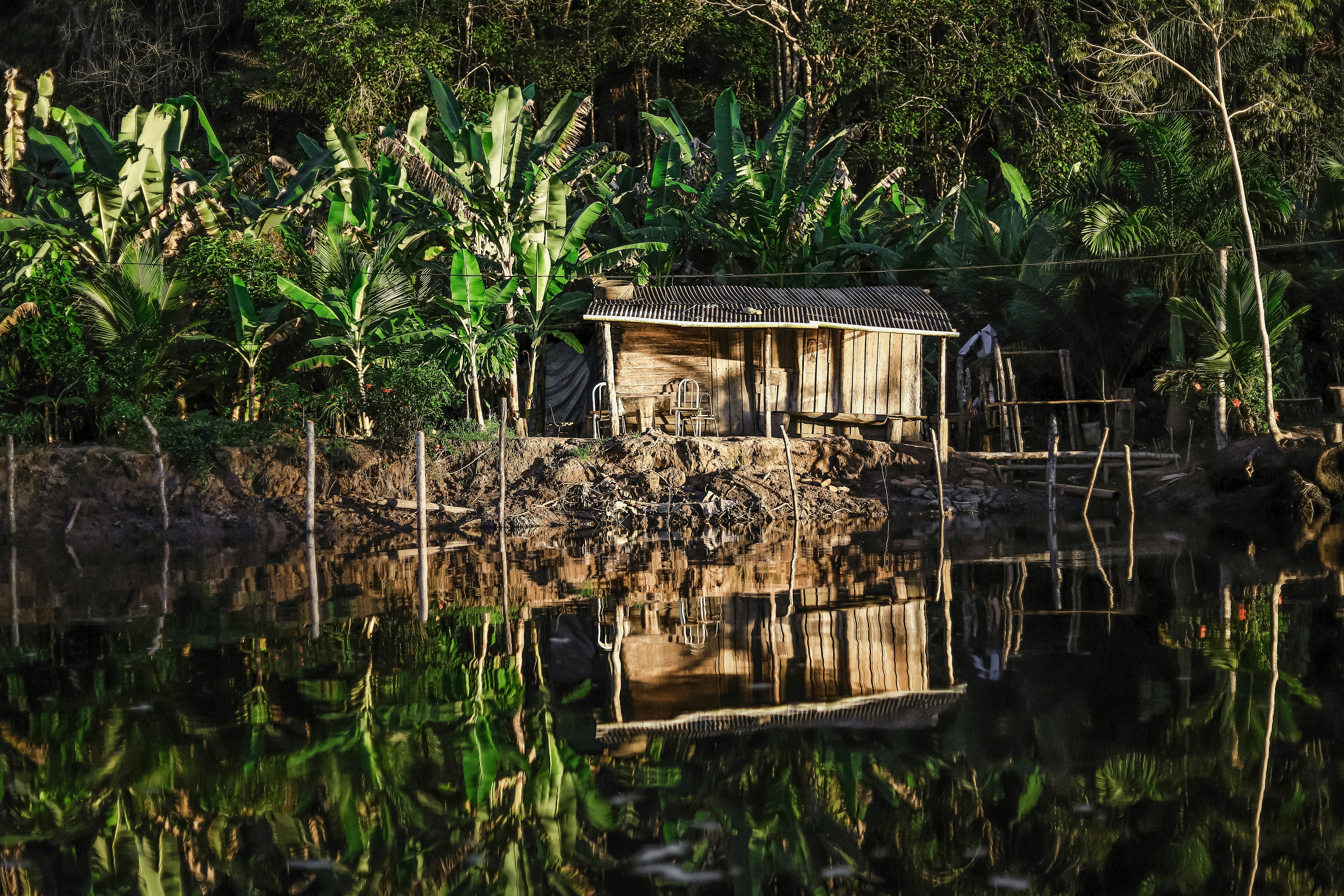 The Barracuda Journeys - Contas River