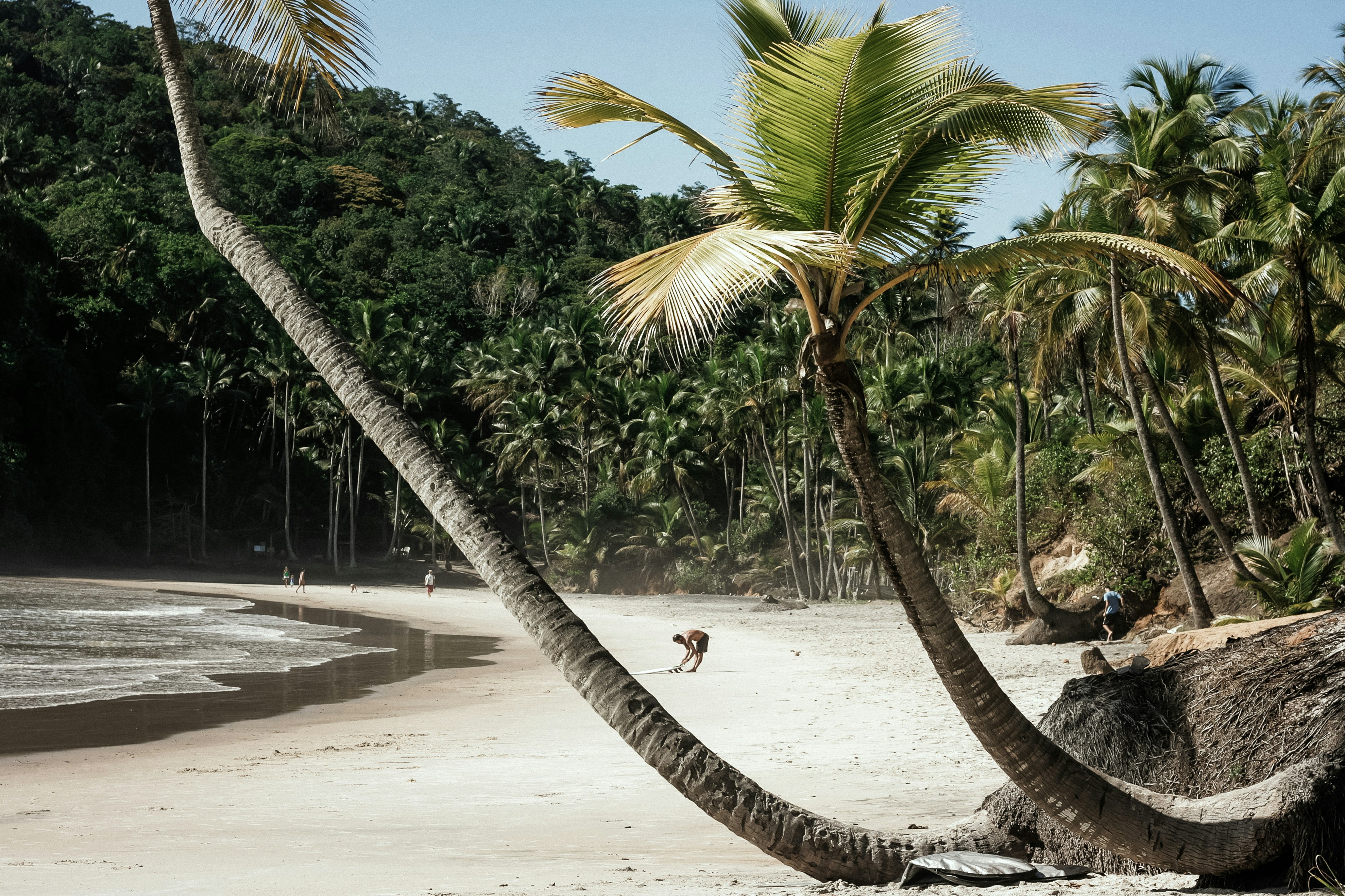 The Barracuda Journeys - Engenhoca Beach