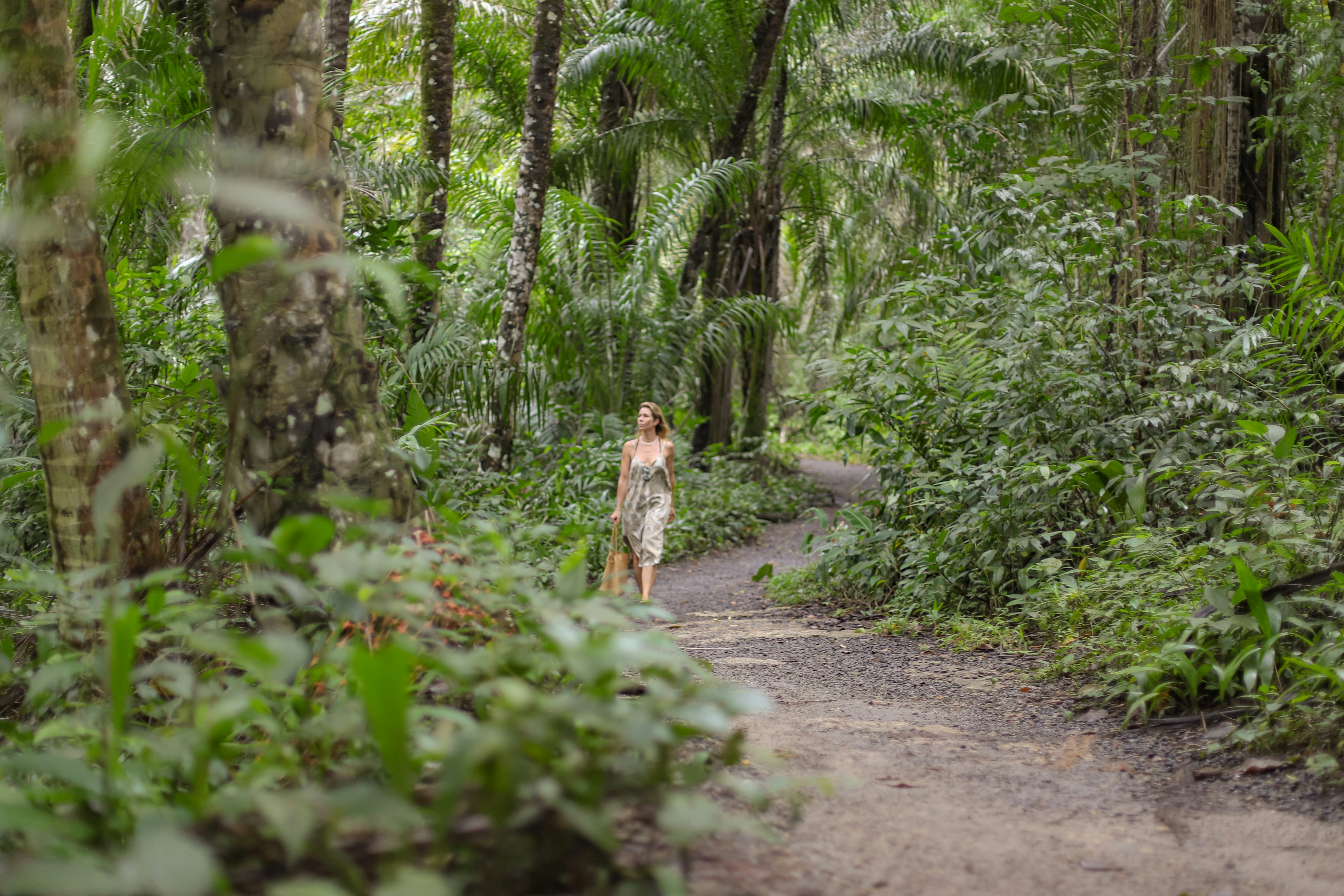 The Barracuda Journeys - Engenhoca Beach Trail