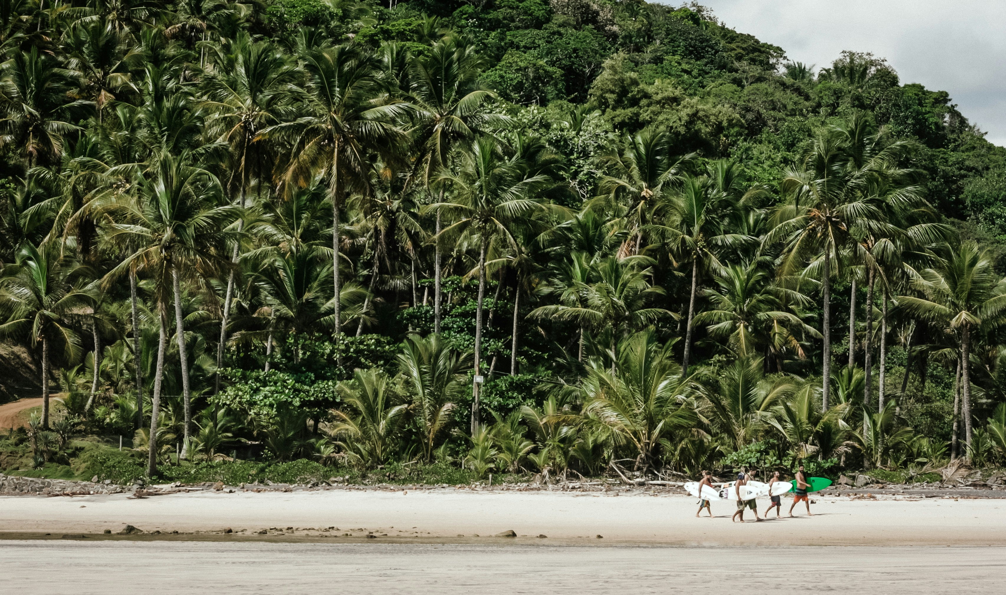 The Barracuda Journeys - Jeribucaçu Beach