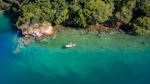 Bay of Many Coves