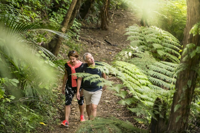 Bush Walking
