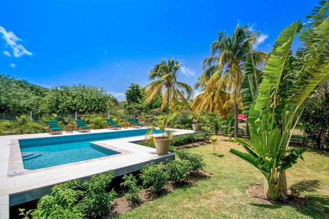 The Palm Villa - Garden & Pool