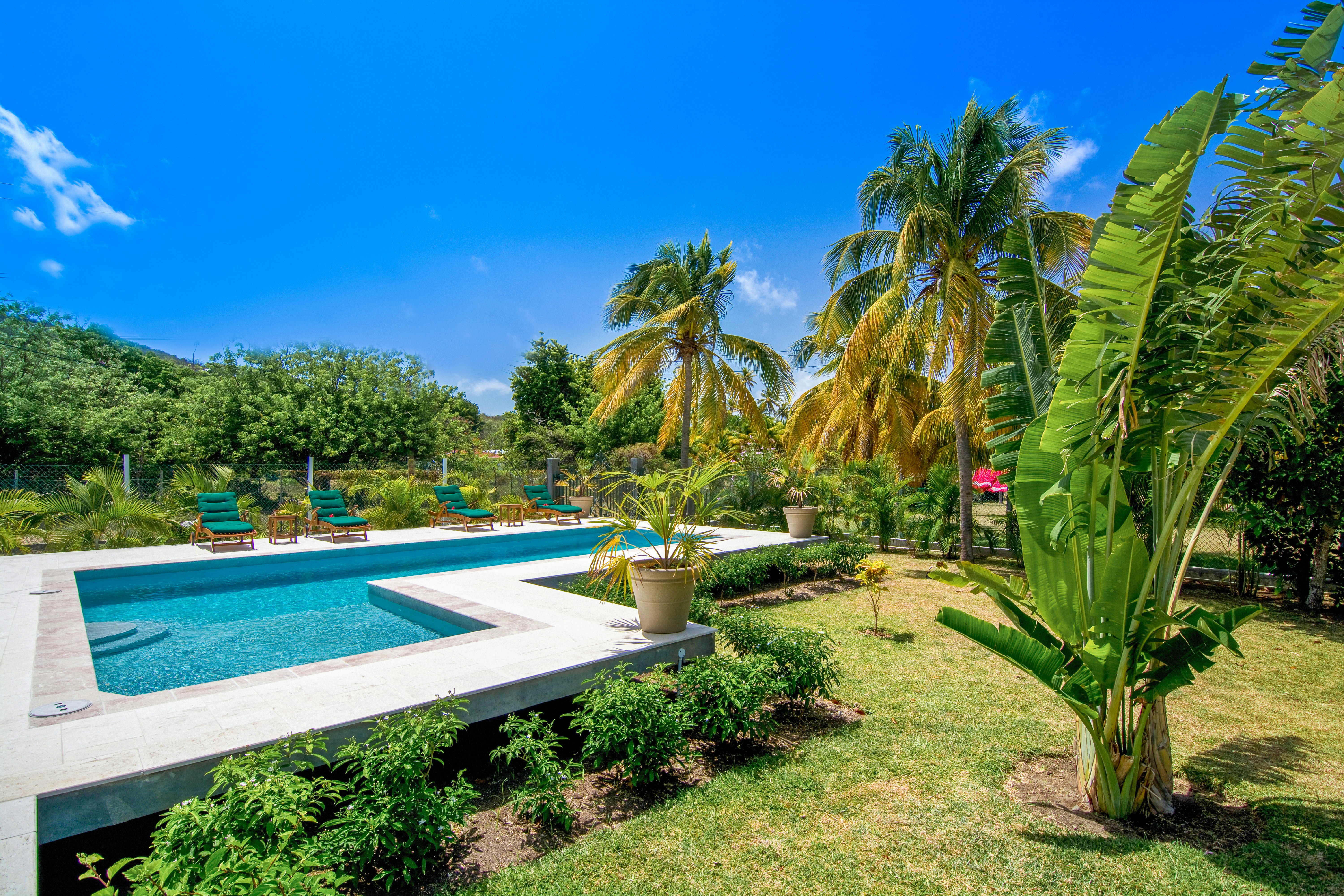 The Palm Villa - Garden & Pool