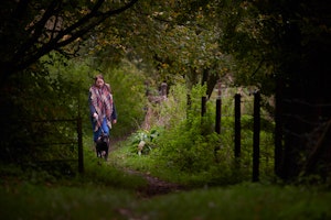 Dog Walking Grounds