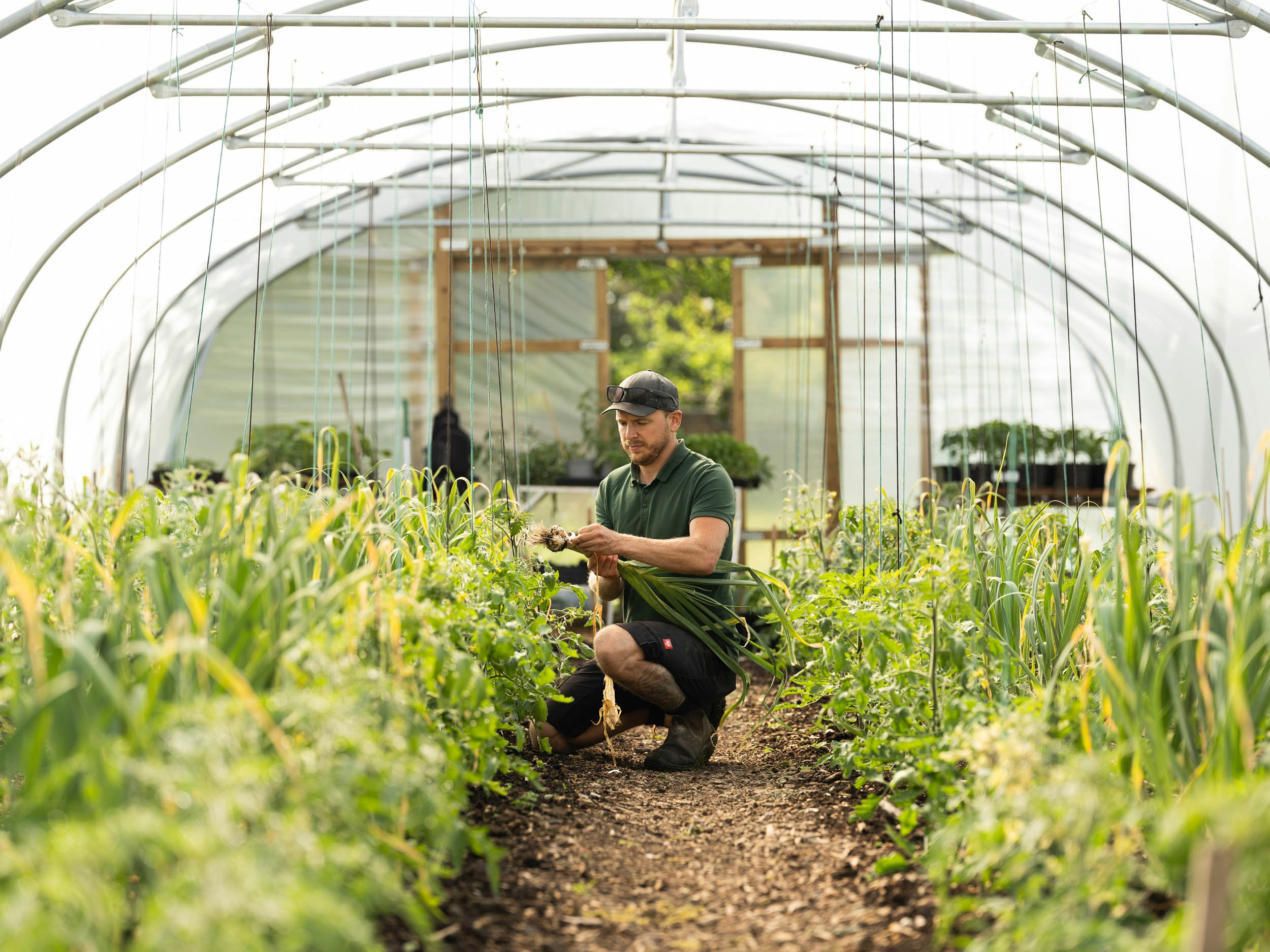 No Dig Kitchen Garden