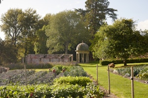 Kitchen Garden