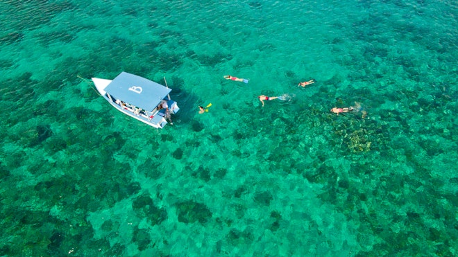 Reef Snorkeling