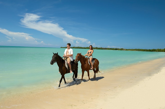 Horseback Riding