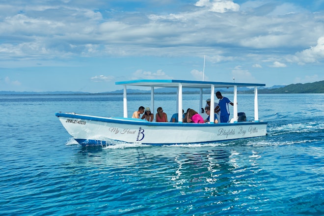 Glass Bottom Boat