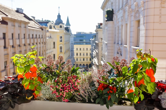 City View