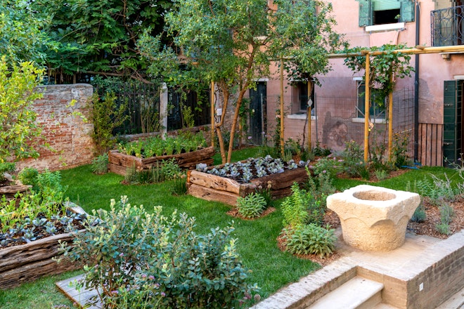 Vegetable Garden