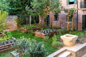 Vegetable Garden
