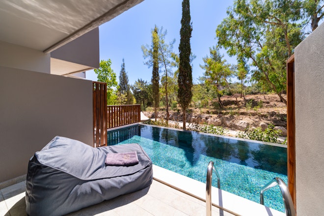 Superior Swim Up - Pool