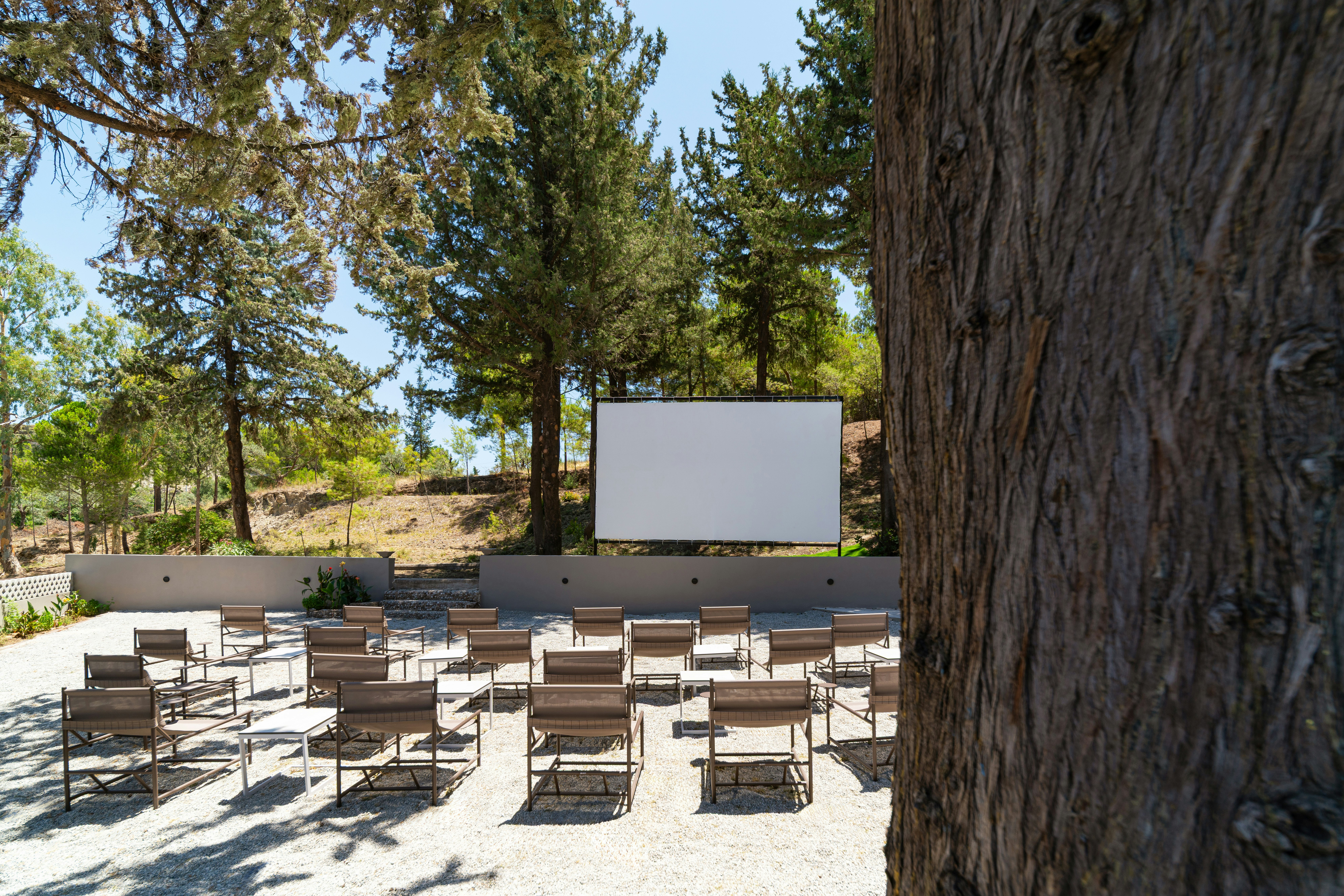 Open Air Cinema