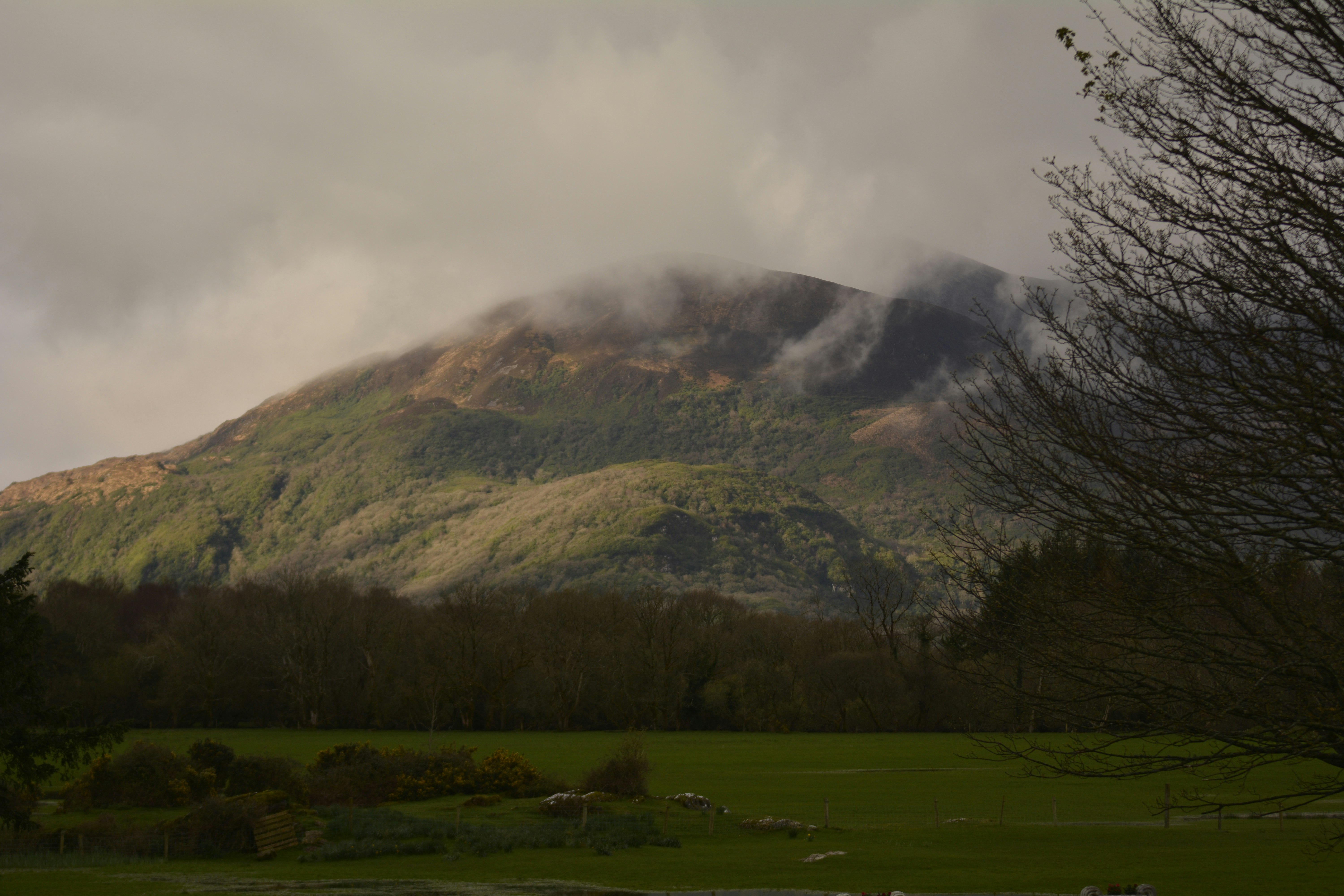Cahernane Misty Hills View