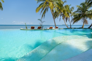 Pool with Swim-Up Bar