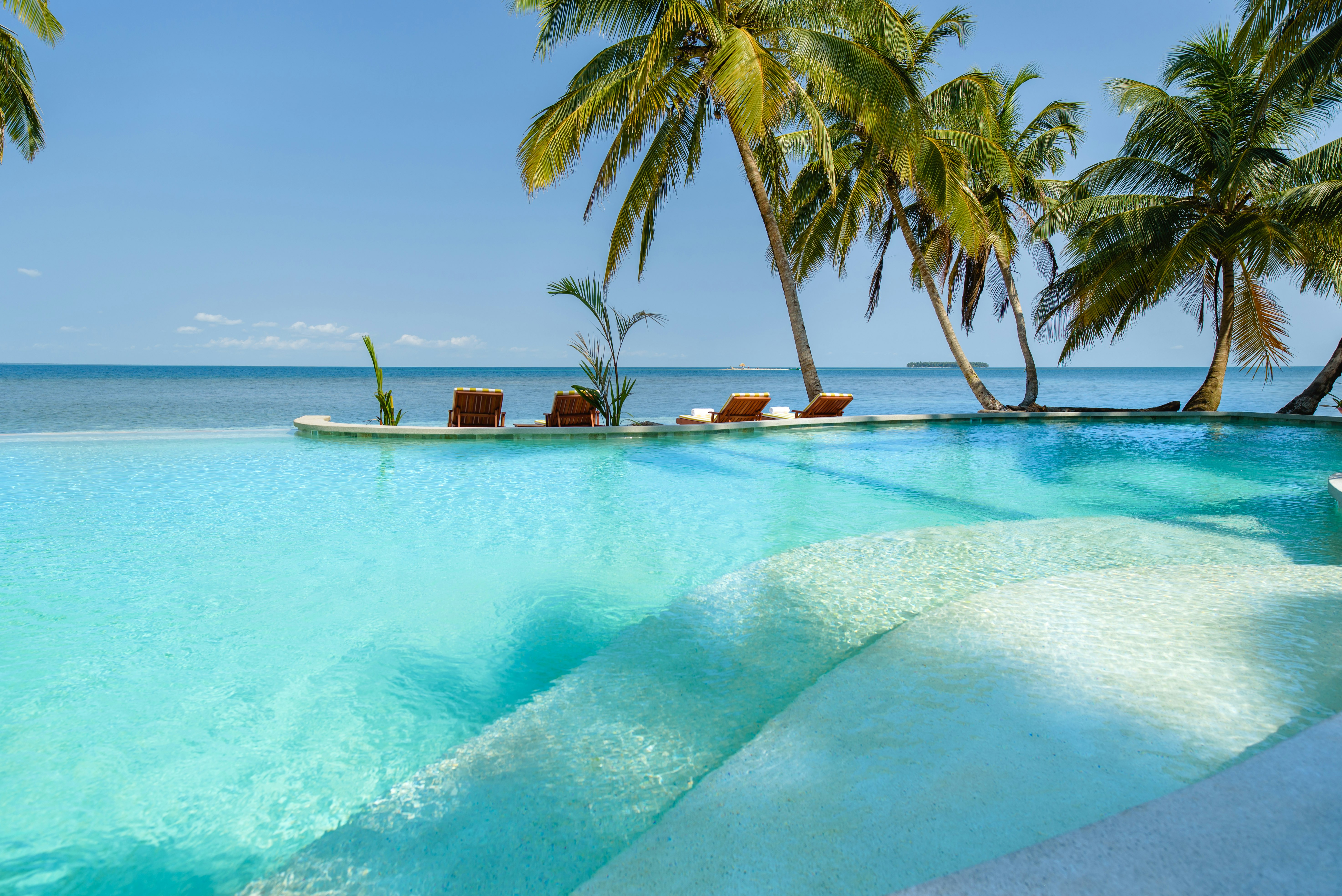 Pool with Swim-Up Bar