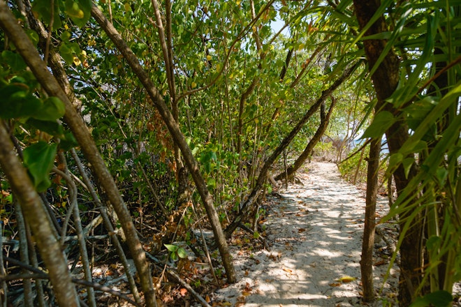 Private Beach Trail