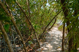 Private Beach Trail