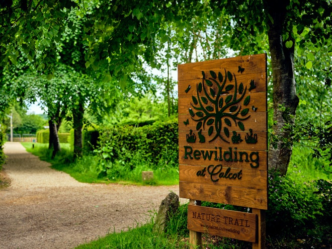 Nature Trail