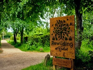 Nature Trail