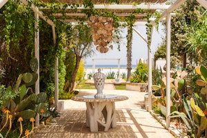Shell Chandelier