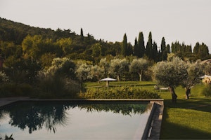 Garden & Pool