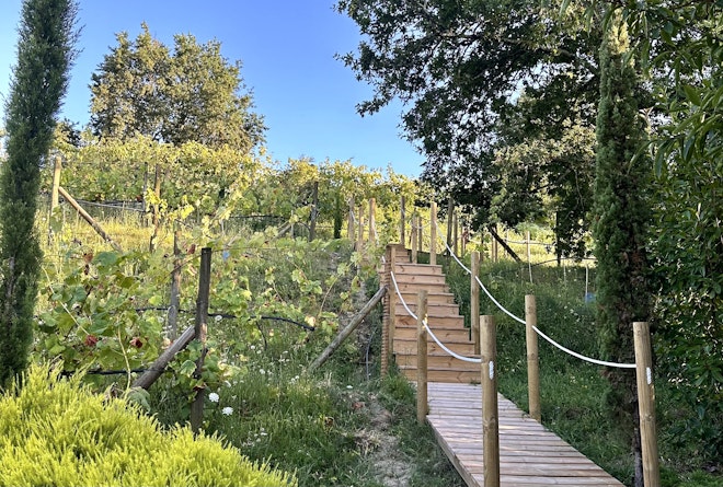 Interior Connection Hotel Villas